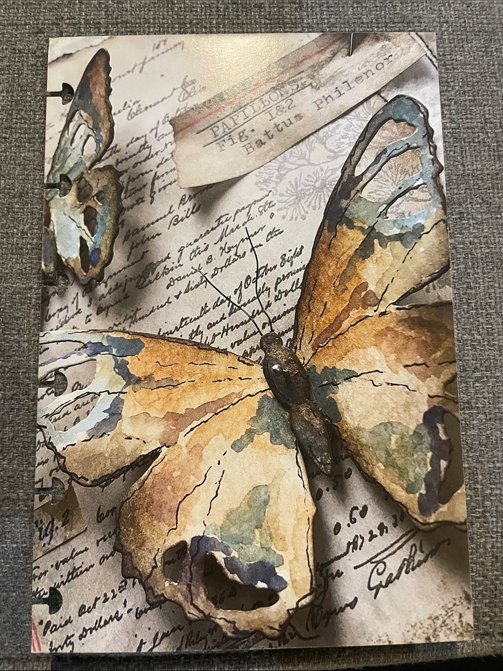 Butterfly Vintage and Crowds Bouquet of people TUL double sided